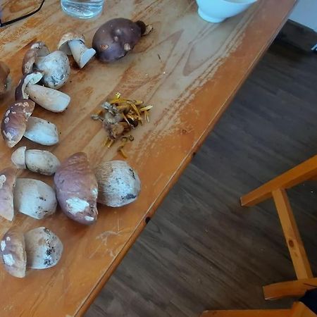 Appartement Vercors 4 Personnes Autrans-Meaudre-en-Vercors Eksteriør billede