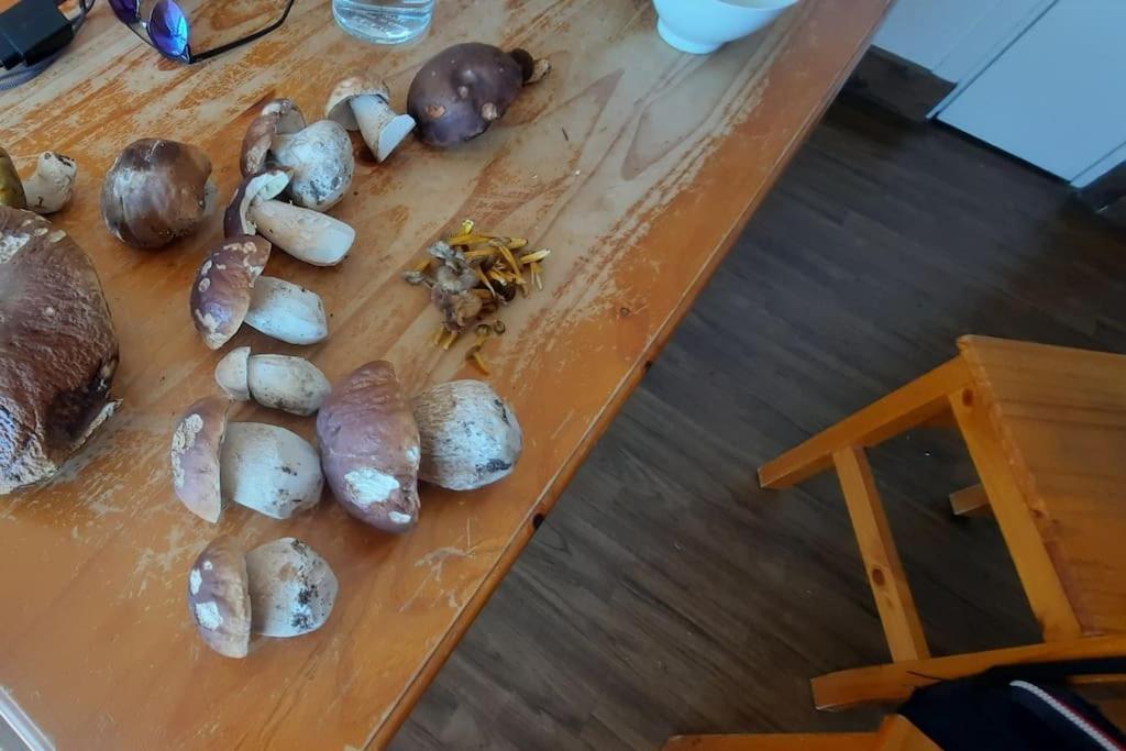 Appartement Vercors 4 Personnes Autrans-Meaudre-en-Vercors Eksteriør billede