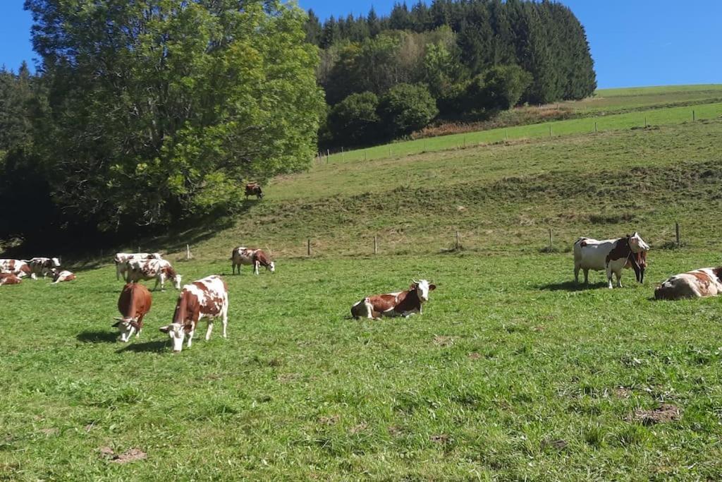 Appartement Vercors 4 Personnes Autrans-Meaudre-en-Vercors Eksteriør billede